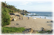 Agastya Garden Indien Meer