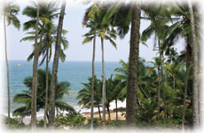 Agastya Garden Indien 