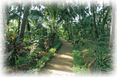 agastya palmgrove