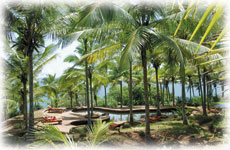 Agastya Ayurveda Garden Pool