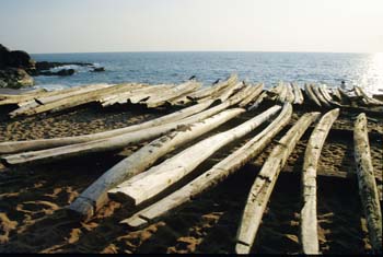 strand04